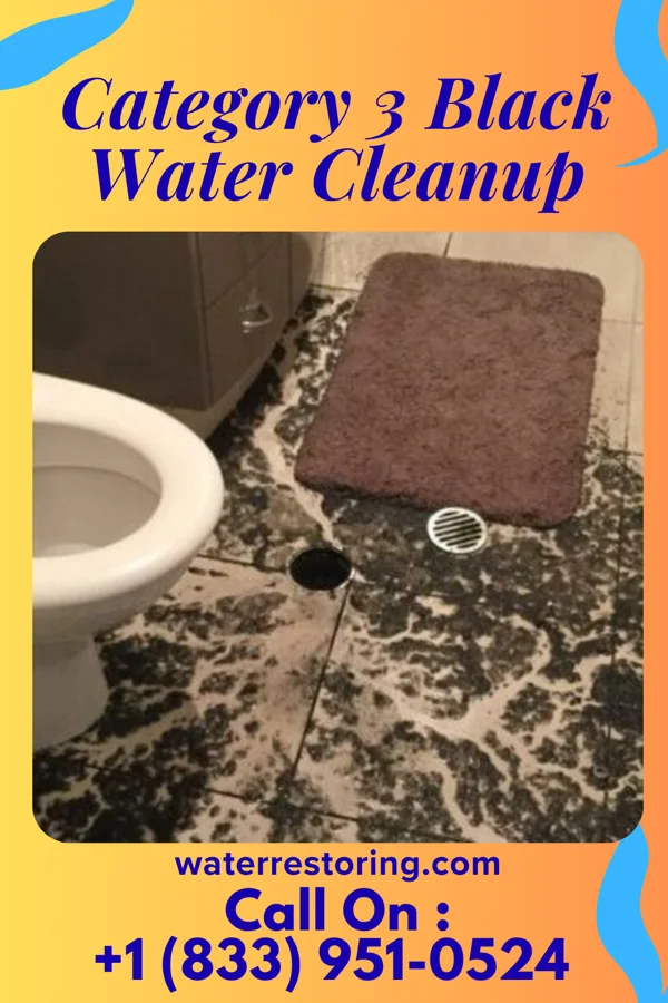 Category 3 Black Water Cleanup in Otsego, MI