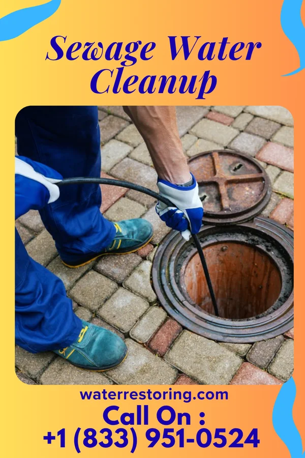 Sewage Water Cleanup in Otsego, MI